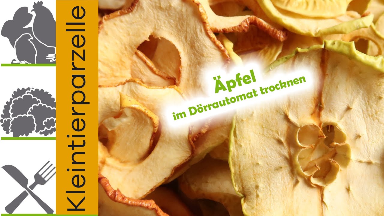 Äpfel im Dörrautomat trocknen