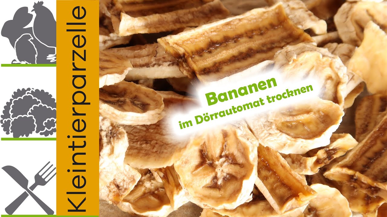 Bananen im Dörrautomat trocknen