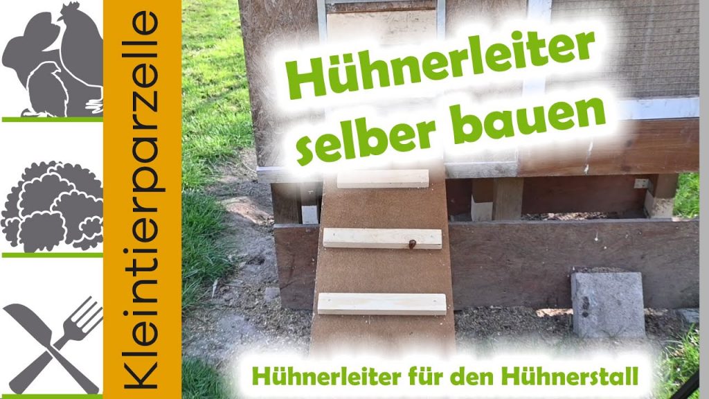 Hühnerleiter selber bauen