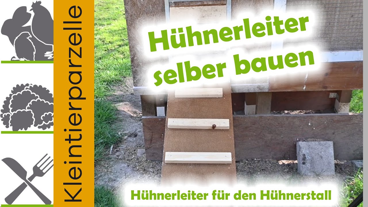 Hühnerleiter selber bauen