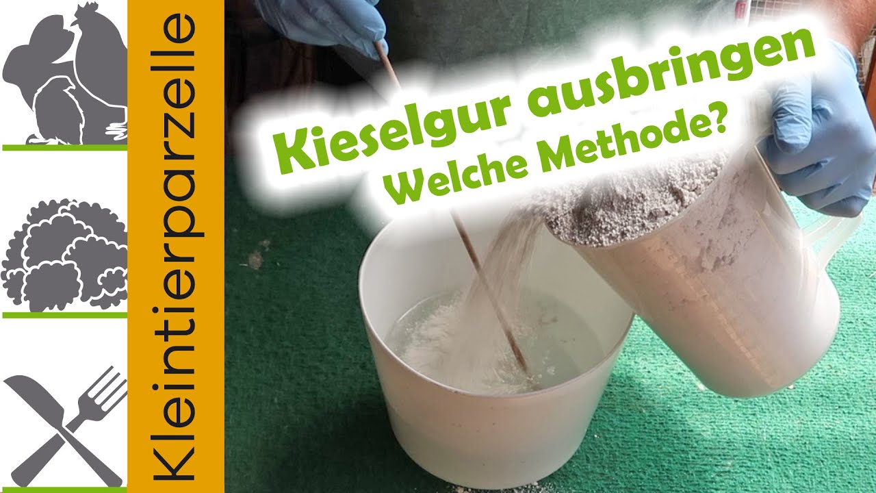 Kieselgur ausbringen, welche Methode?