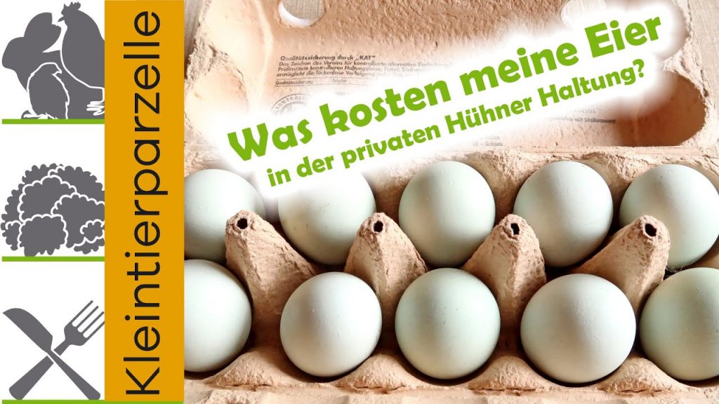Was kosten meine Eier?