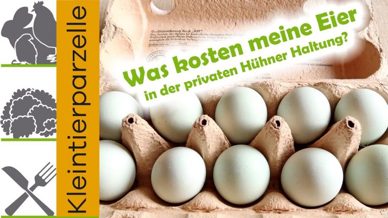 Was kosten meine Eier?