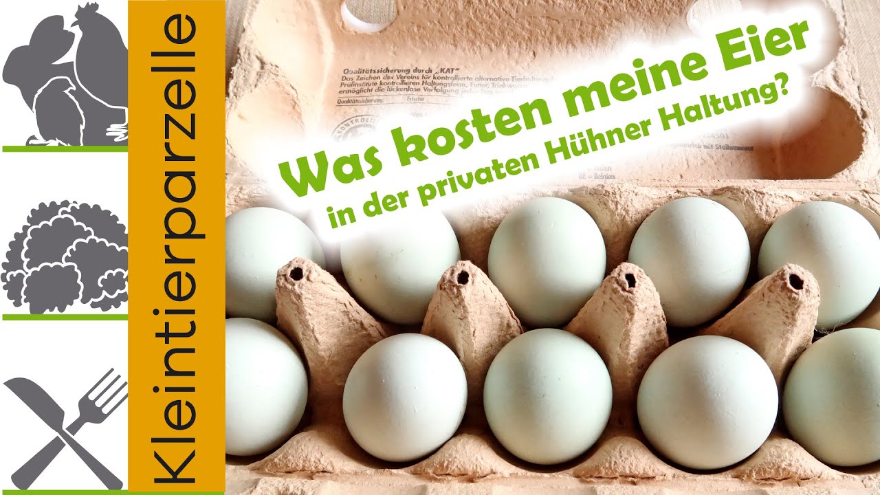 Was kosten meine Eier?