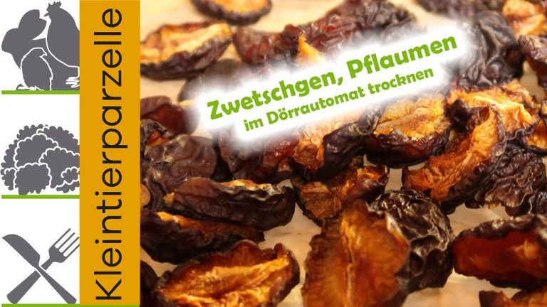 Zwetschgen,Pflaumen im Dörrautomet trocknen