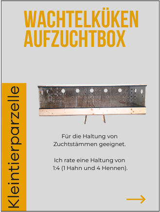 profi wachtelküken aufzuchtbox – bauplan für artgerechte kükenaufzucht (150x50x40 cm)
