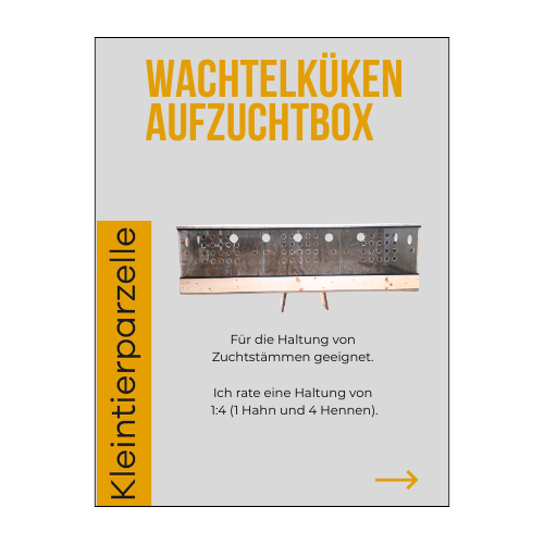 profi wachtelküken aufzuchtbox – bauplan für artgerechte kükenaufzucht (150x50x40 cm)