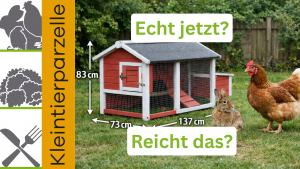 Stallgröße Echt jetzt