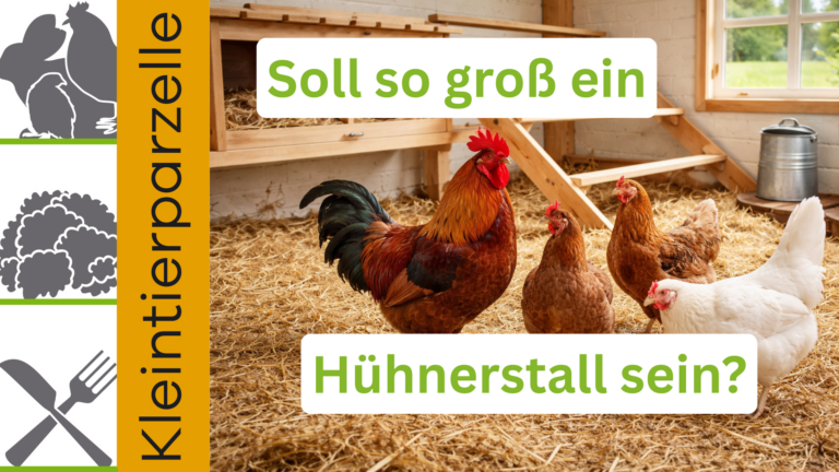 Hühnerstall Stallgröße